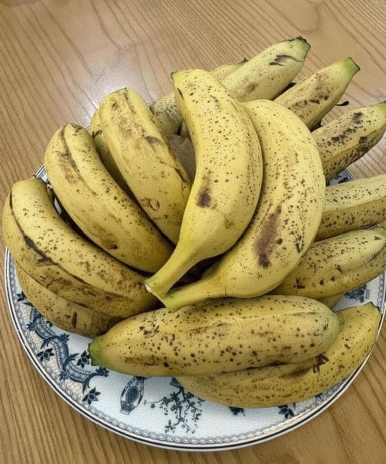 712339617_1620977142310970_838878239703711945_n