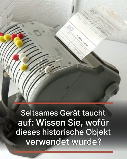 740197063_122107667925364919_5891089930618359358_n 740197063_122107667925364919_5891089930618359358_n
