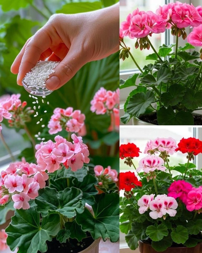 Capture-decran_21-5-2026_204536_-8