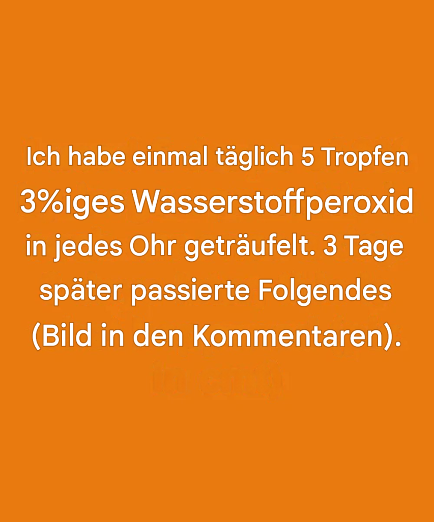 03a04bc2-6ff4-449c-af47-e2f4b31600f4 03a04bc2-6ff4-449c-af47-e2f4b31600f4