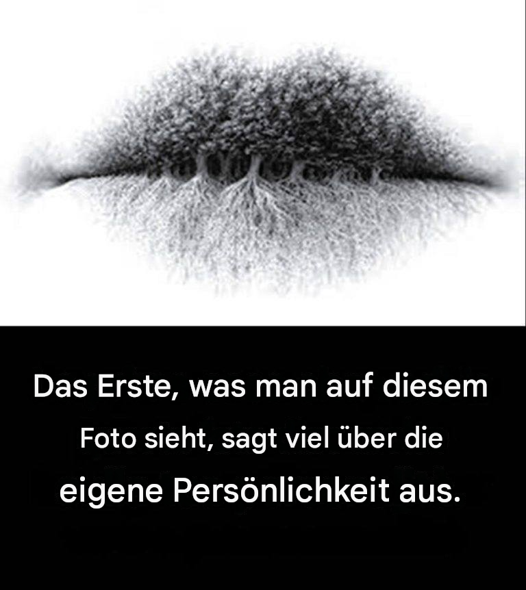 9c0d8a5f-bc60-4f5e-bb17-4faa5f16f4a2